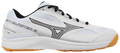 MIZUNO Sky Blaster 3 Badminton Shoe